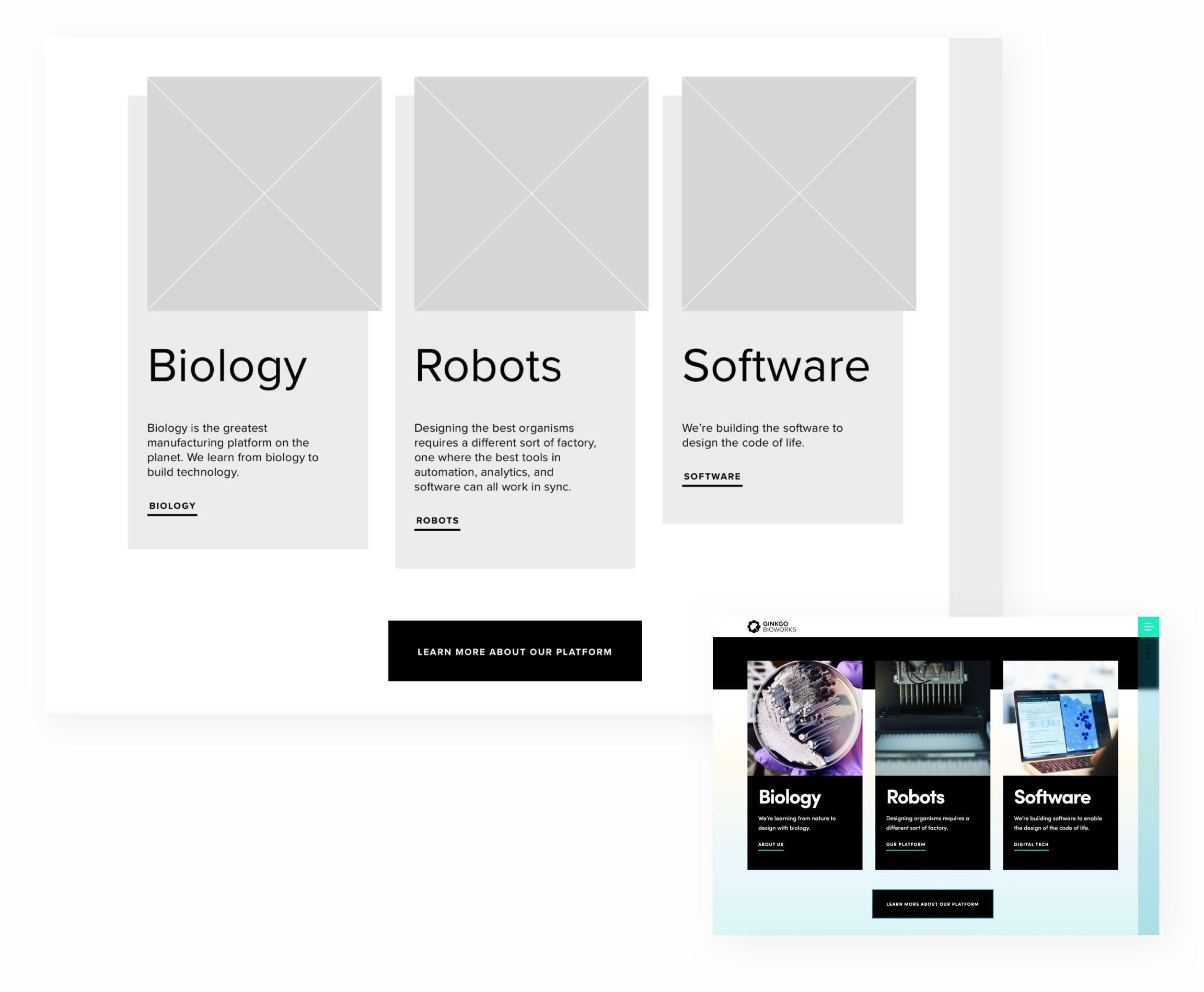 ginkgo wireframe and UI comparison